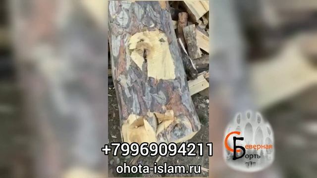 Колода для пчел башкирская смотреть онлайн