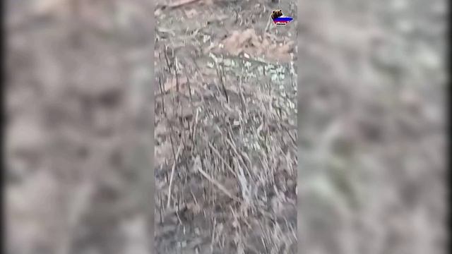 Видео ухода солдат ВСУ из Курахово смотреть онлайн