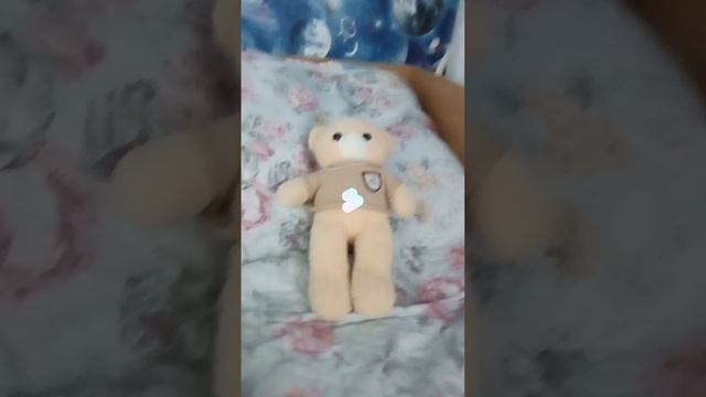 видео взято от @liki_kit смотреть онлайн