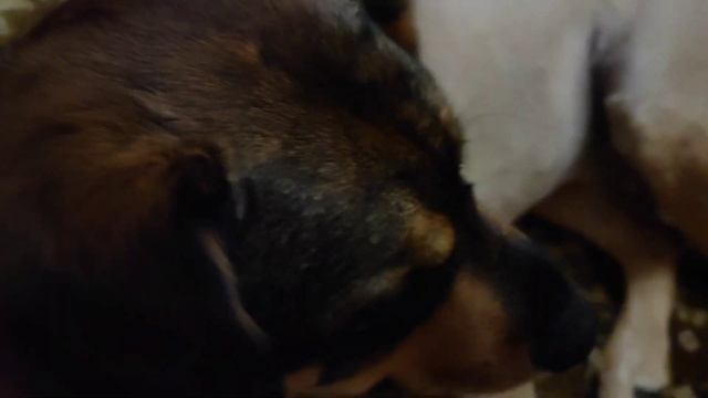 Забрала Леру и маму /Сильно заболели/волнуюсь смотреть онлайн