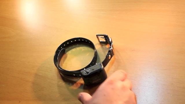 Dogtra YS300 Antibellgerät смотреть онлайн