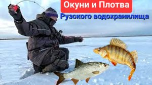 ОКУНЬ и ПЛОТВА из лунки - на льду Рузского водохранилища. Диалоги о рыбалке !!