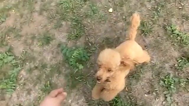 Высокоскоростное замедленное видео смотреть онлайн