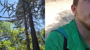 Прогулялся по Воронцовскому парку. Влог.