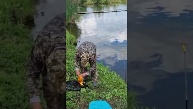 Поймал золотую рыбку