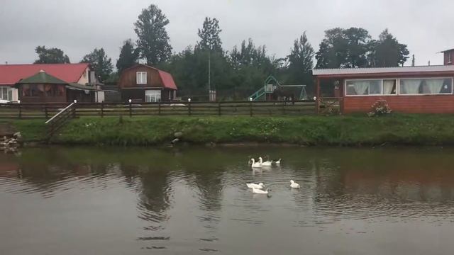 Сойкино смотреть онлайн