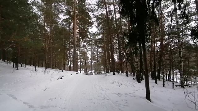 Куда недорого поехать на новый год в центральной России.