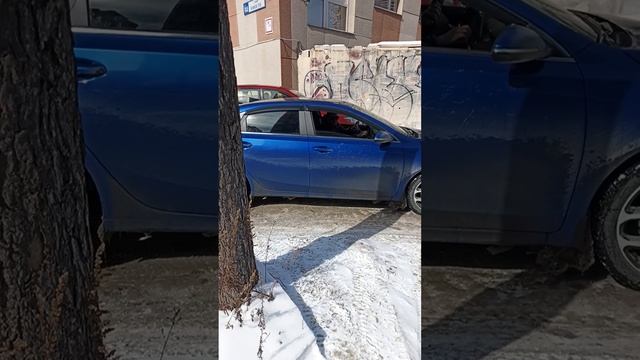 тренировочный день