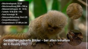 Fernseher Sony KD-75X85L | TEST | Deutsch