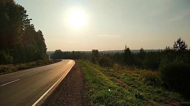 Настоящий мед. Где он бывает? смотреть онлайн