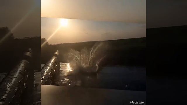 Техничный прыжок в воду пластом