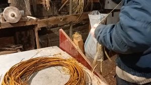 очистка лозы для плетения корзин. для чего я использую окорённый пруток