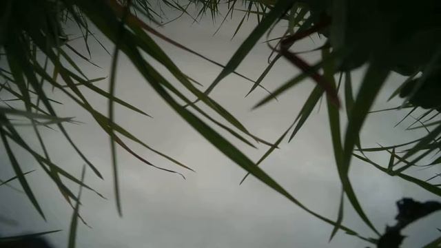 Аккум в ноль! смотреть онлайн