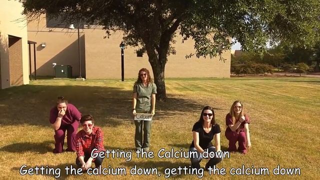 Getting Ready to Get (Calcium) Down -- Hypercalcemia смотреть онлайн