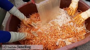 КАК ГОТОВЯТ В КОРЕЕ ~ Коллективный труд на благо кимчи