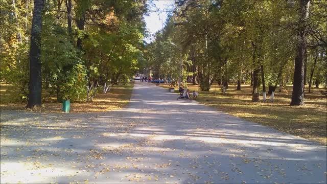 Прогулка по осеннему парку. Сентябрь 2016