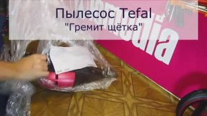 Ремонт щётки пылесоса TEFAL Санкт-Петербурге (СПб) l Щётка плохо крутится и трещит
