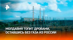 Жители Молдавии закупают дрова после отказа от российского газа / РЕН Новости