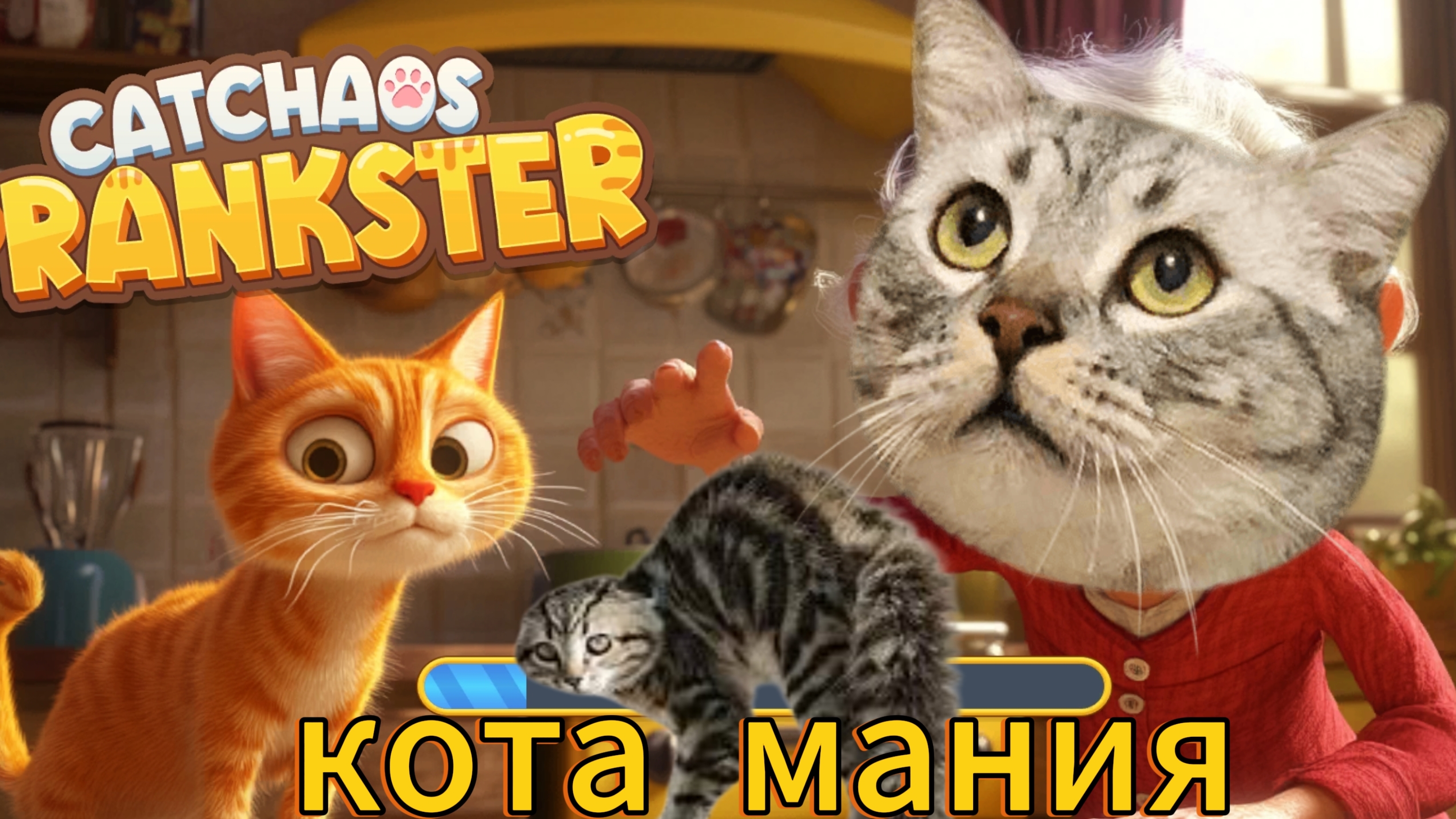 это просто жесть произошла котомания!!!!!!!