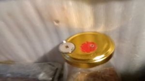 Замена батареек в Casio G-Shock