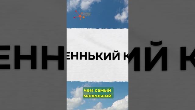 БИКИНИ – САМЫЙ МАЛЕНЬКИЙ...