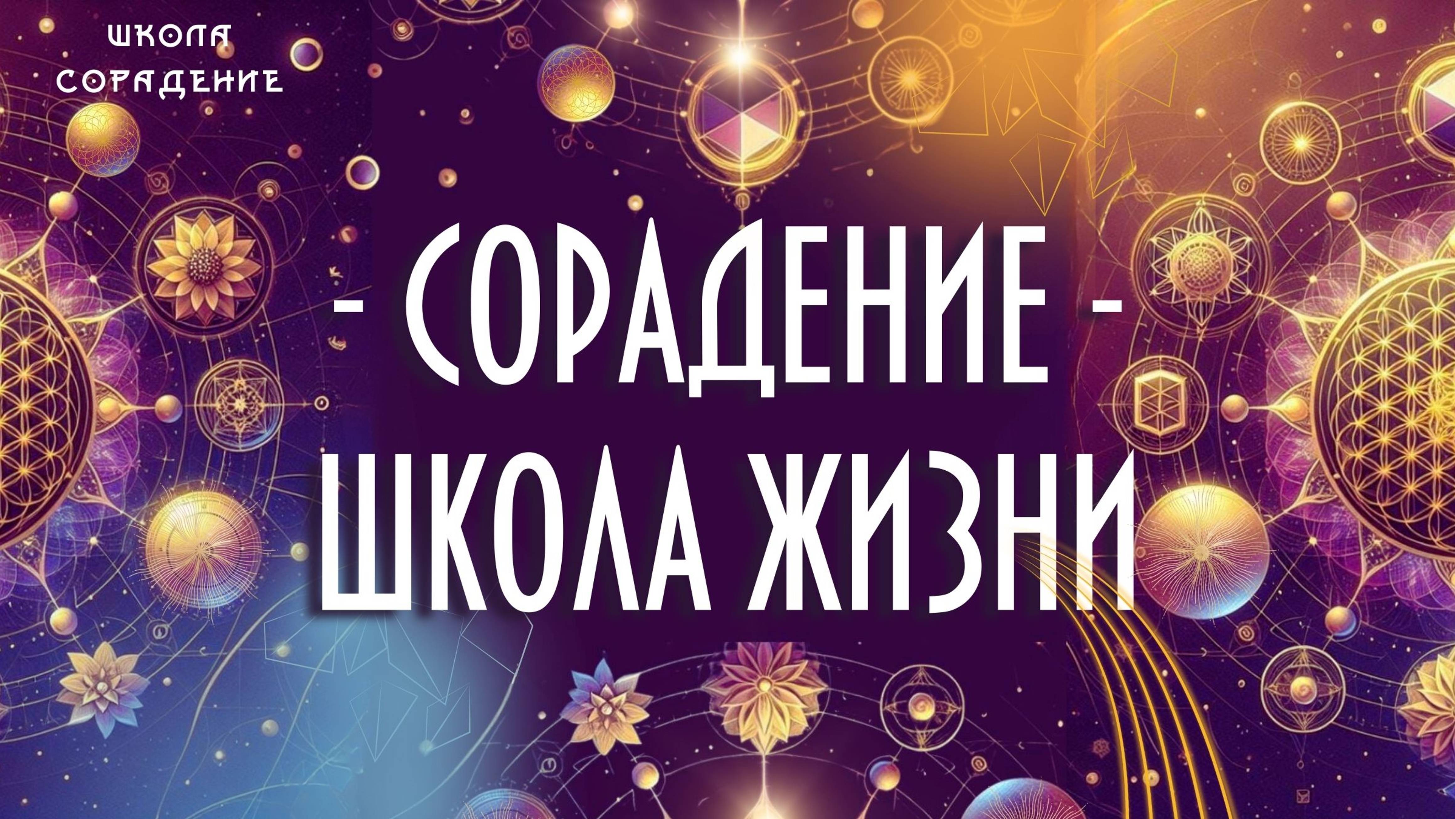 Школа жизни  #сорадение #школа_жизни #книги_сорадение #белый_свет