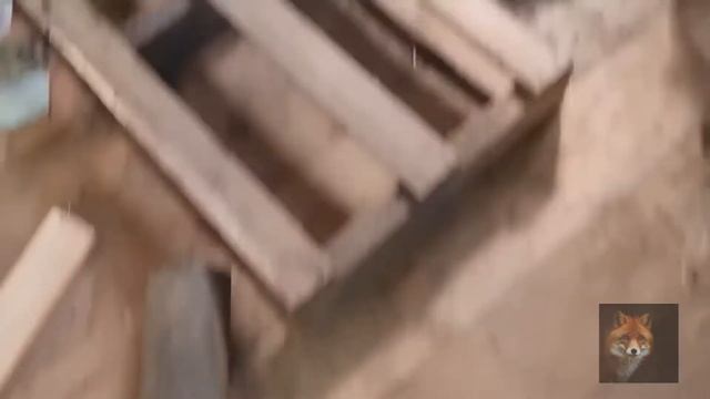 Алиса Лиса (Арчи Уехал) смотреть онлайн