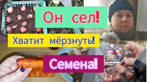 17.10.2023 ПОХОЖА НА ПОПИХУ!🤭🙈ВЫСАДИЛА ТЮЛЬПАНЫ.🌷Замёрзли!🥶Просто день.