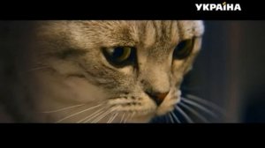 Реклама корма для котов Whiskas (2) (ТРК Украина, апрель 2019)