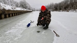 РЫБАЛКА НА РЕКЕ СУРА 2025. РЫБАЛКА В ПАЛАТКЕ И ВОКРУГ. КЛЮЕТ РАЗНАЯ РЫБА.