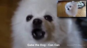 Смешная музыка 2020