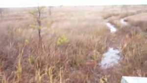 Вездеход "Болотный Проходимец" по болоту.