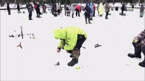 Утро на Нижнем. Клёвое место Лосиный остров.