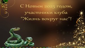 С НОВЫМ 2025 ГОДОМ ЖВН