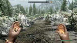 TES 5 Skyrim Anniversary Edition Выживание Легенда 1 Жизнь