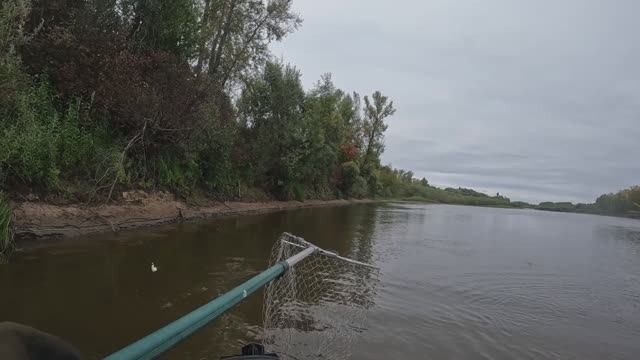 🎣КРУПНЯК🎣#сезонконтентаRUTUBE