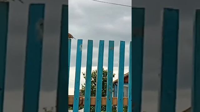 22 июня 2024 г. смотреть онлайн