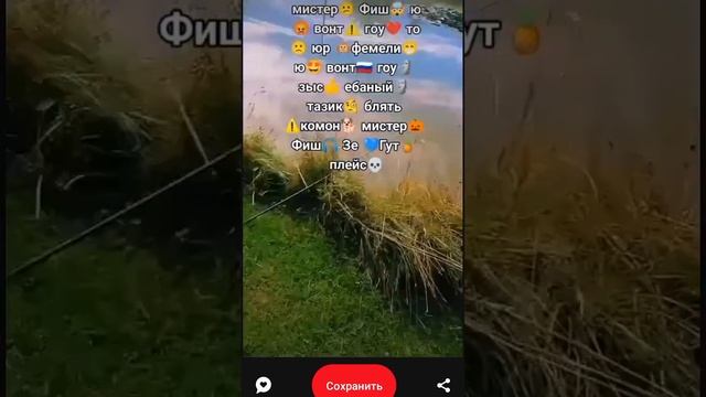 3 ноября 2024 г. смотреть онлайн