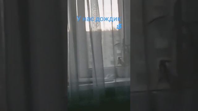 15 июня 2024 г. смотреть онлайн