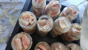 Делаем консервы из запасов рыбы.