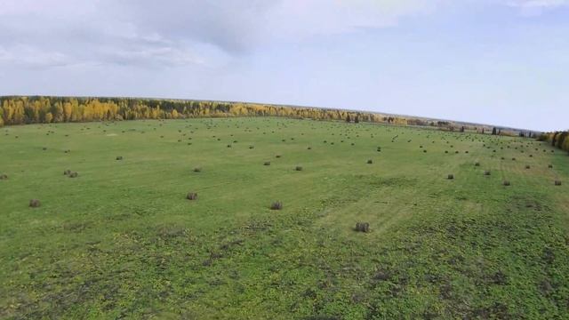 Осеннее небо (Sonic Binary) смотреть онлайн