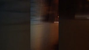 ШОК! ЧУПАКАБРА НАПАЛА НА ДВУХ РЕБЯТ! видео