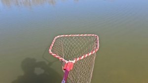 Платная рыбалка в Сочи. Стоимость. Каков Улов?!