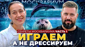 Как тренируют дельфинов и нерп в Москвариуме: секреты тренеров, уникальные методики и трюки животных