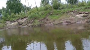 Природа Тюмени рыбалка речка Пышма