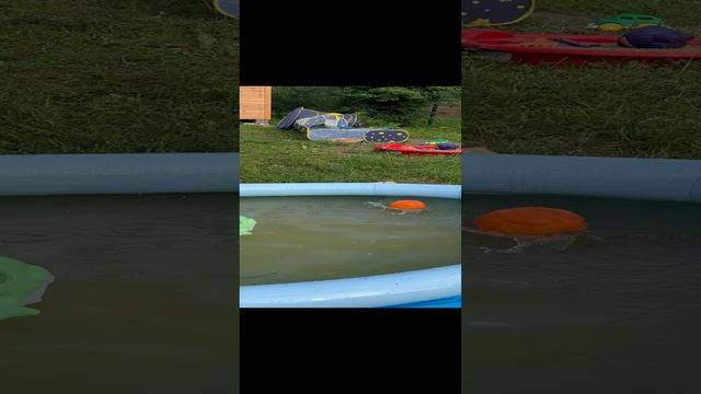 03-01-2025