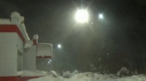 Снежная птица. Валерий Серяков