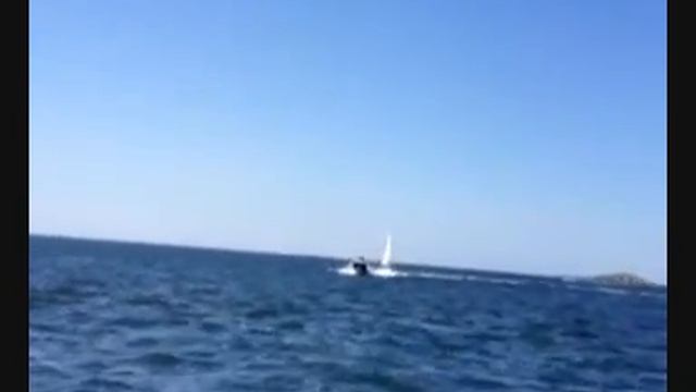 Pacific Craft 670 Yamaha f225 CV, MB Marine Arzon смотреть онлайн