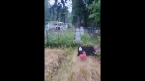 Зов предков 2. Селецкое кладбище. (Сельцы. Максатихинский р-он. Тверская обл.)