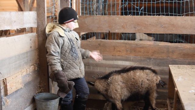 Юный фермер Алтая - Варлаам проводит экскурсию про наше козоводство. Жизнь в деревне Потеряевка.